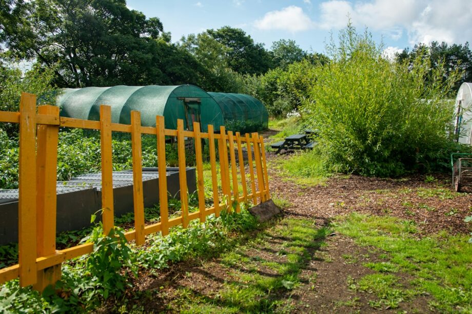 The Imperative of Environmental Sustainability in Today’s World