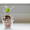 Your Guide to Mastering Personal Finance: Strategies for Financial Success