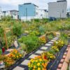 Embracing Sustainable Living: Your Guide to a Greener Lifestyle Embracing Sustainable Living: Your Guide to a Greener Lifestyle