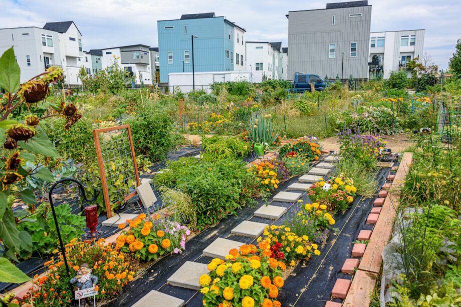 Embracing Sustainable Living: Your Guide to a Greener Lifestyle
